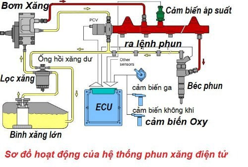 sơ đồ hệ thống phun xăng điện tử